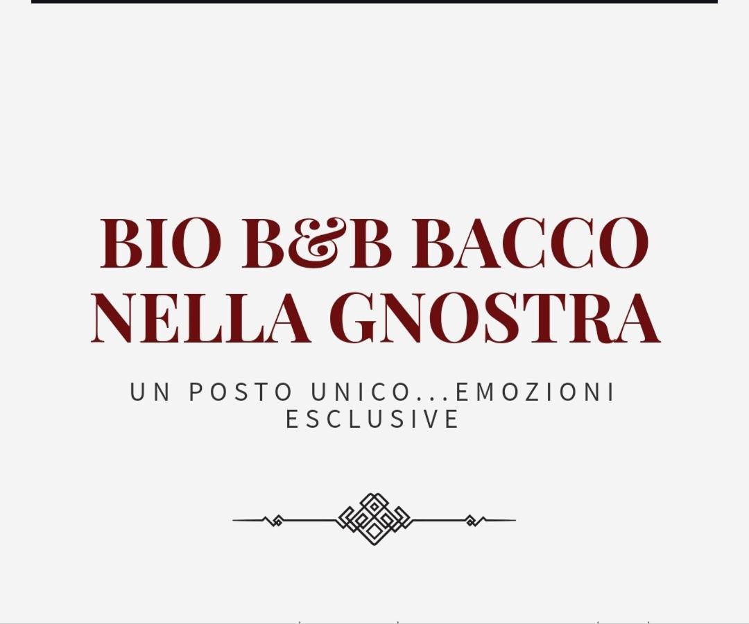 Bio B&B Bacco Nella Gnostra 阿尔塔穆拉 外观 照片
